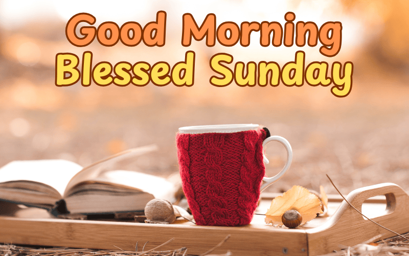 Good Morning Blessed Sunday